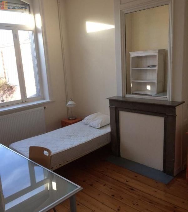 Studio meublé 14m² Lille 59800 - Meublé, DPE A - Photo 4
