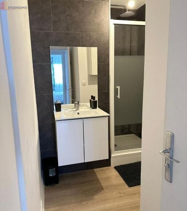 Studio 13m² Mons-en-Baroeul - Meublé, lumineux - Photo 1