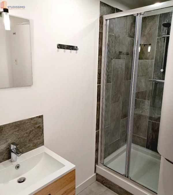 Studio meublé 11m² Roubaix - Meublé, 1 pièce - Photo 2