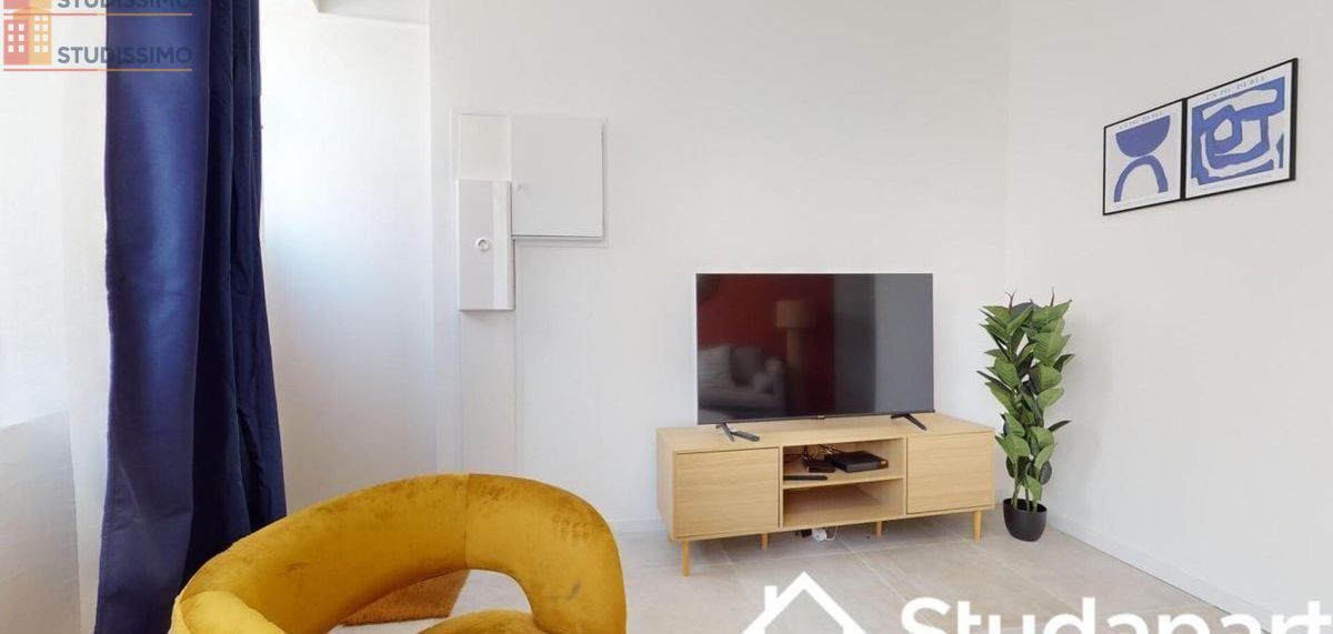 Studio 12m² Lille 59000 - Meublé, lumineux - Photo 4