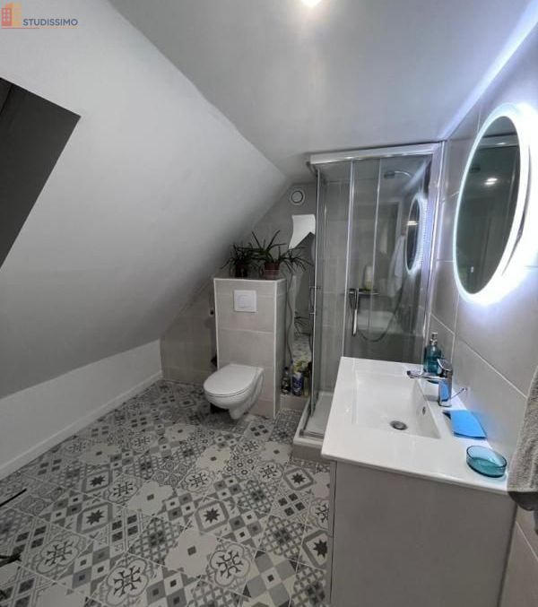Studio 12m² Tourcoing - Meublé, DPE D - Photo 1