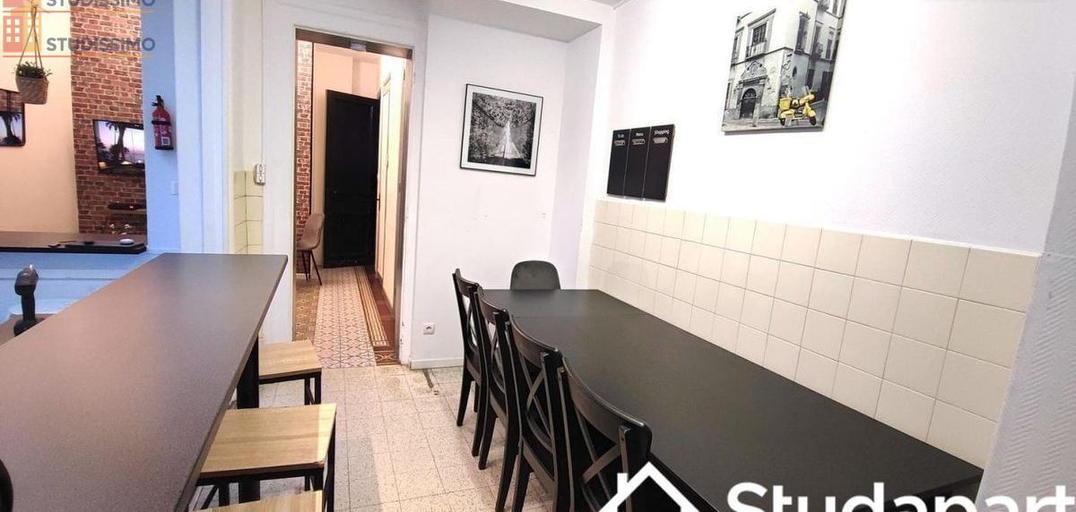 Studio meublé 34m² Roubaix 59100 - Lumineux, performant (DPE A) - Photo 3