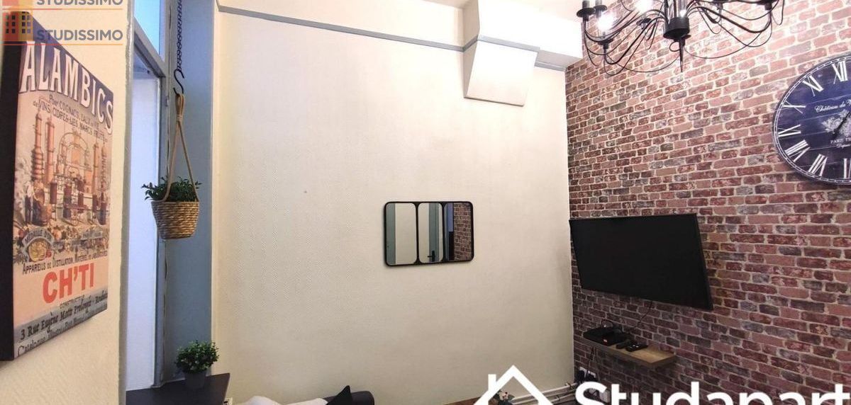 Studio meublé 34m² Roubaix 59100 - Lumineux, performant (DPE A) - Photo 1