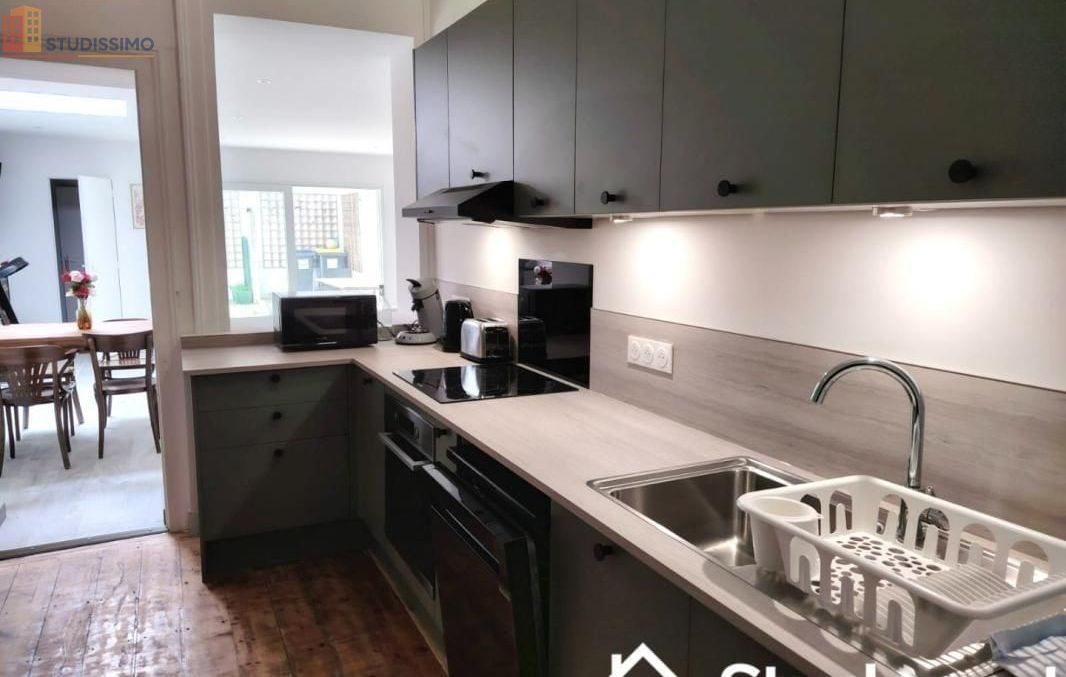 Studio meublé 68m² Lille - Lumineux, grand espace - Photo 3