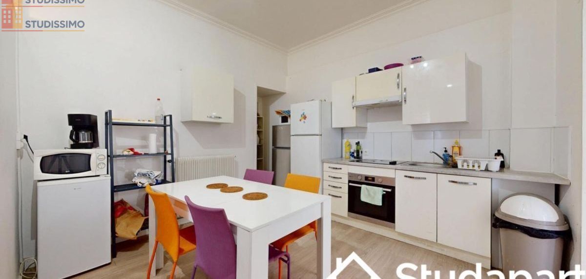 Studio meublé 17m² Loos - Meublé, DPE A - Photo 1