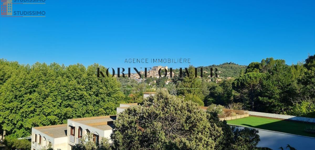 Studio 30m² Gréoux-les-Bains - Étage élevé, lumineux - Photo 1