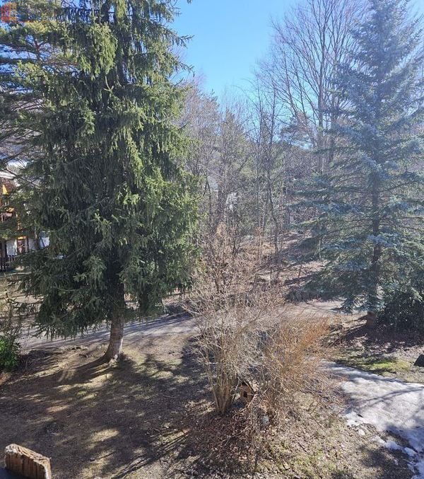 Studio 25m² Montclar 04140 - Photo 2