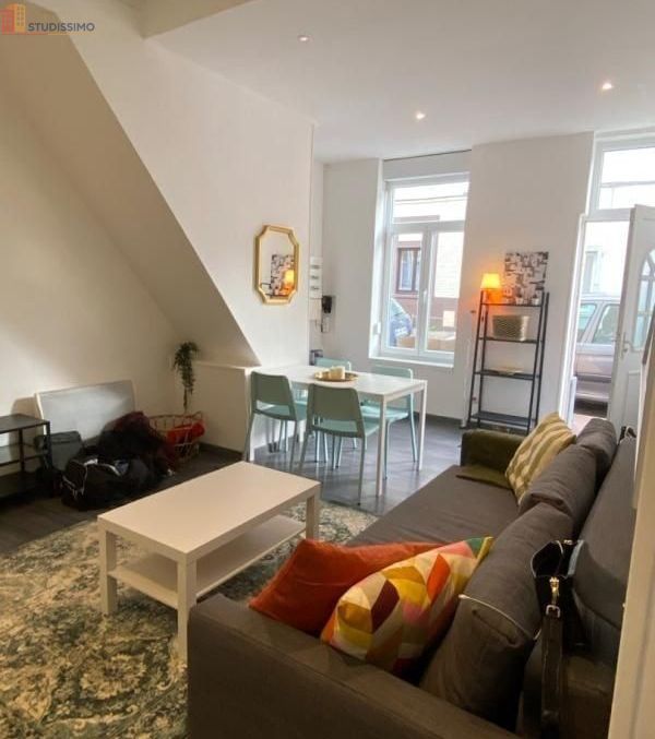 Studio meublé 10m² Roubaix - Calme, lumineux - Photo 14