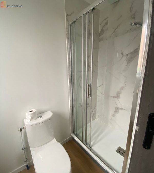 Studio 18m² Mons-en-Baroeul - Charmant, lumineux - Photo 3