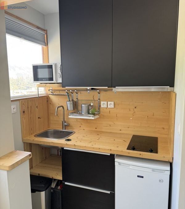 Studio 20m² Uvernet-Fours 04400 - Photo 9