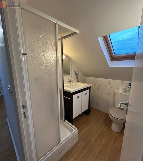 Studio meublé 20m² Lille 59800 - Lumineux, dernier étage - Photo 7