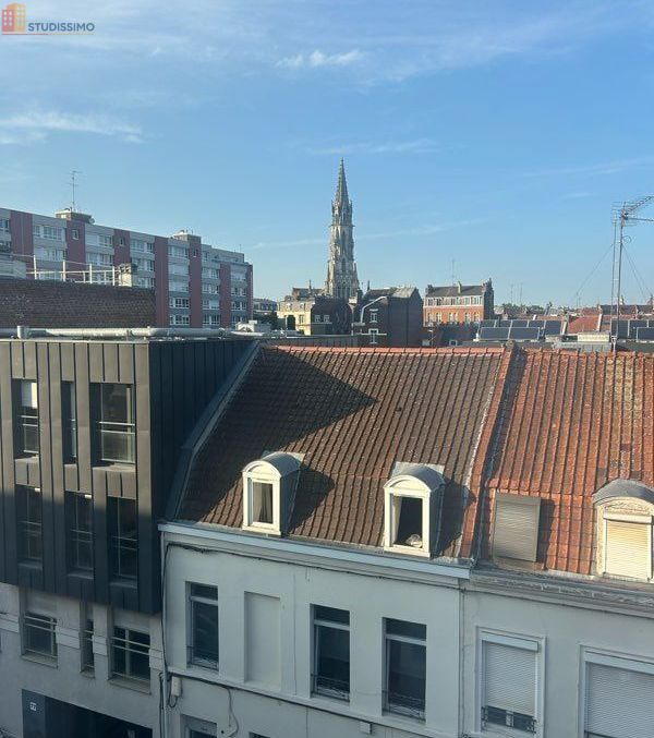 Studio meublé 20m² Lille 59800 - Lumineux, dernier étage - Photo 5