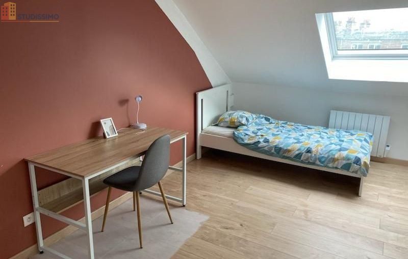 Studio meublé 33m² Dunkerque - Lumineux, équipé - Photo 5