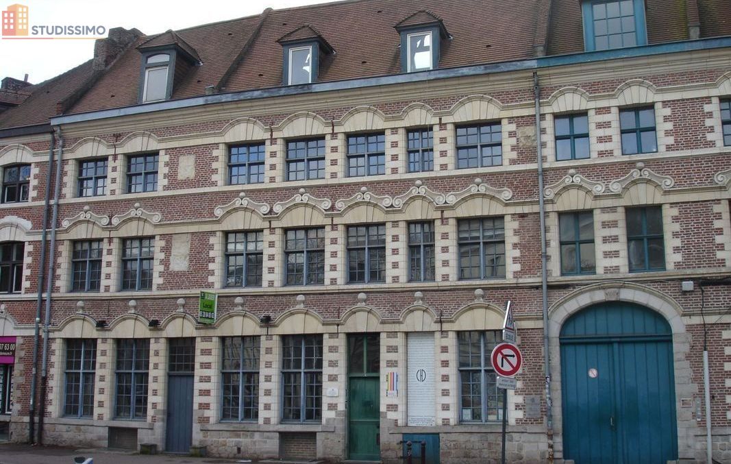 Studio meublé 42m² Lille centre - Cachet, lumineux - Photo 1