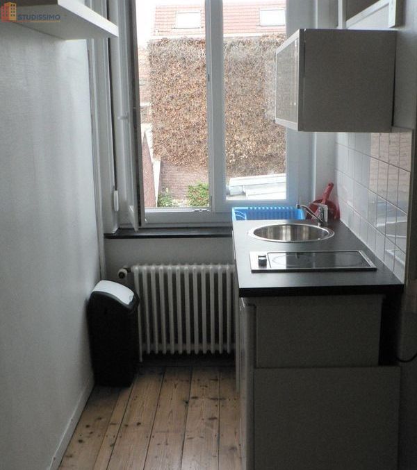 Studio meublé 15m² Lille centre - Calme, vue jardin - Photo 1