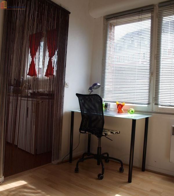 Studio 25m² Lille Vieux-Lille - Très clair, cuisine séparée - Photo 4