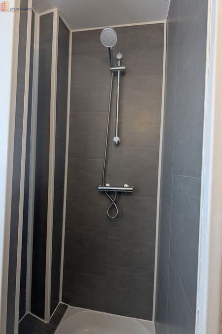 Studio meublé 20m² Lille centre - Meublé, rue calme - Photo 1