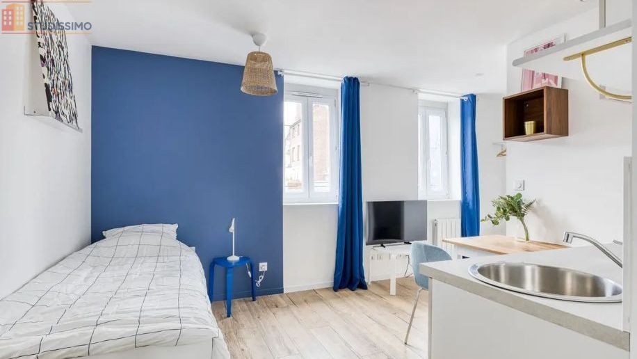 Studio meublé 17m² Lille 59000 - Lumineux, rénové - Photo 4