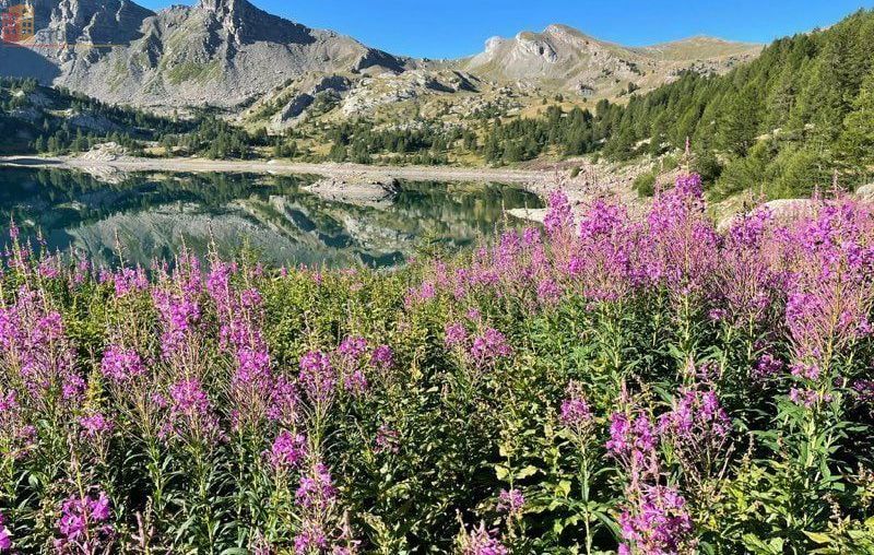 Studio 14m² Allos 04260 - Vue montagne - Photo 1