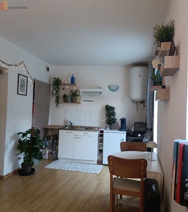 Studio 25m² Cysoing - calme, lumineux - Photo 6
