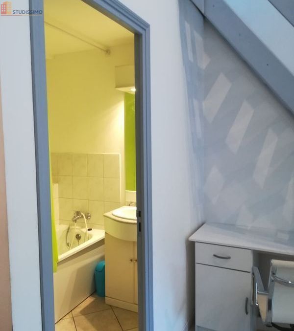 Studio meublé 28m² Douai - Mezzanine et terrasse - Photo 1