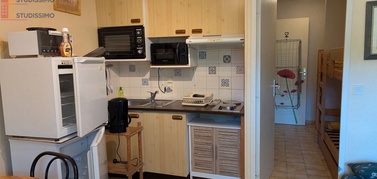 Studio meublé 21m² Saint-Bonnet-en-Champsaur - Meublé, cosy - Photo 1