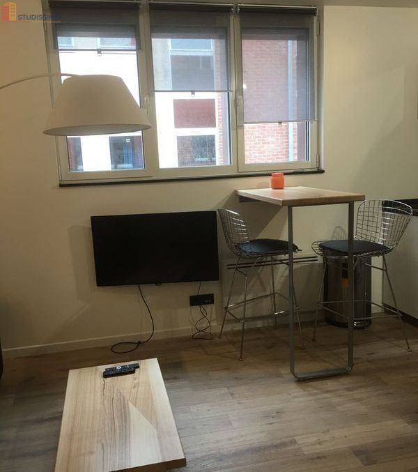 Studio meublé 20m² Lille 59800 - Meublé, DPE C - Photo 8