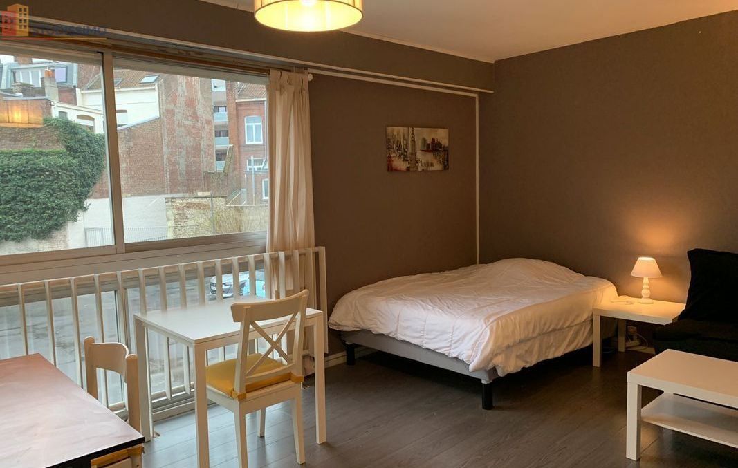 Studio meublé 29m² Lille centre - Proche Solférino, lumineux - Photo 8