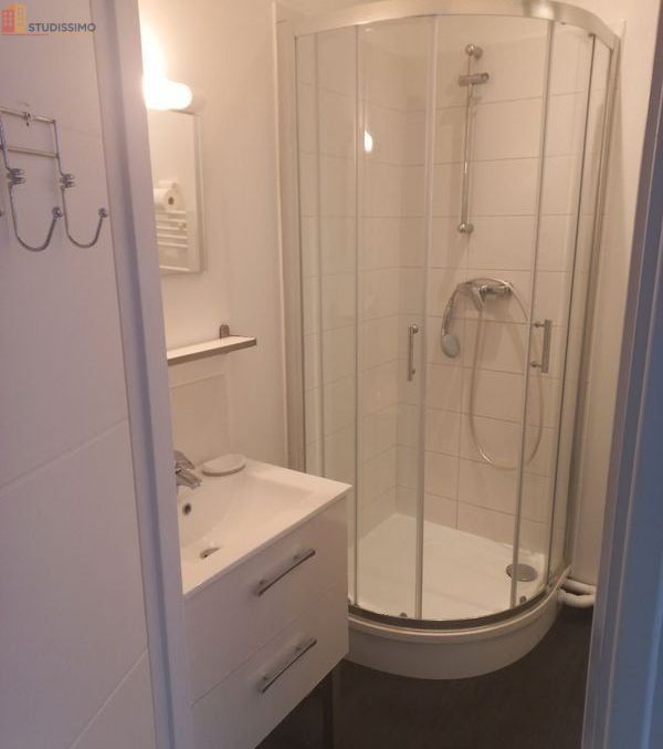 Studio meublé 18m² Lille Moulins - Meublé, lumineux - Photo 3