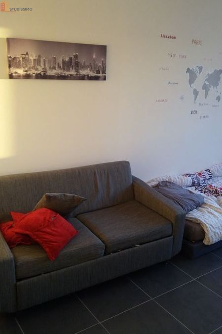 Studio meublé 26m² Lille Hellemmes - Lumineux, équipé - Photo 1