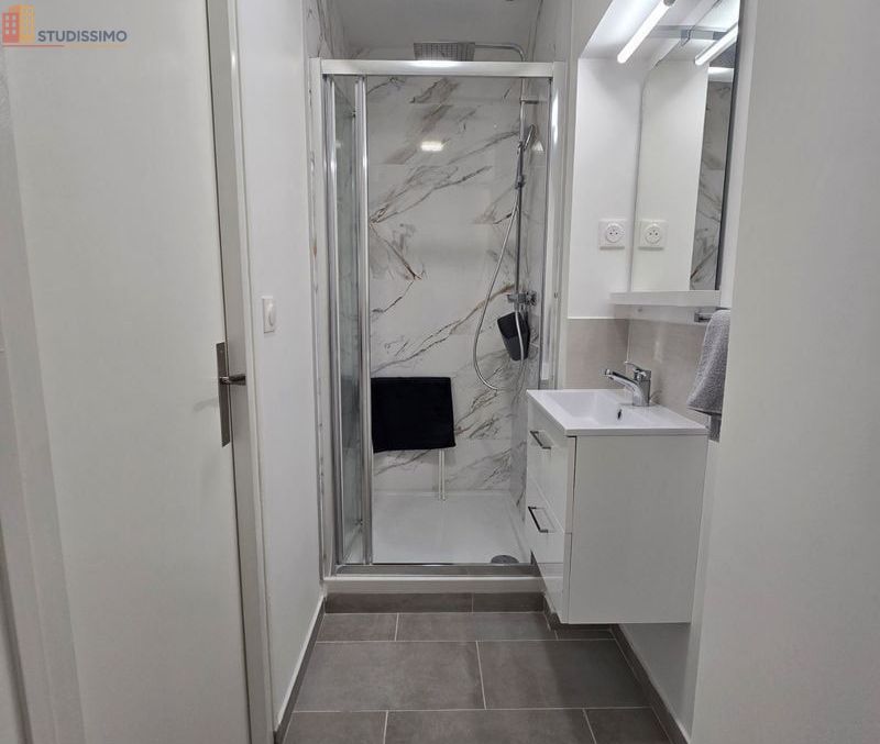 Studio meublé 22m² Lille centre - Terrasse, sdb privative - Photo 6