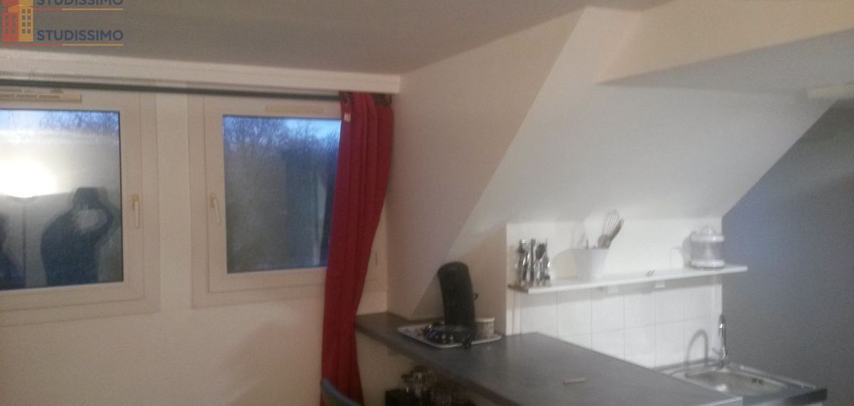 Studio meublé 22m² Lille 59800 - Lumineux, 5e étage - Photo 3