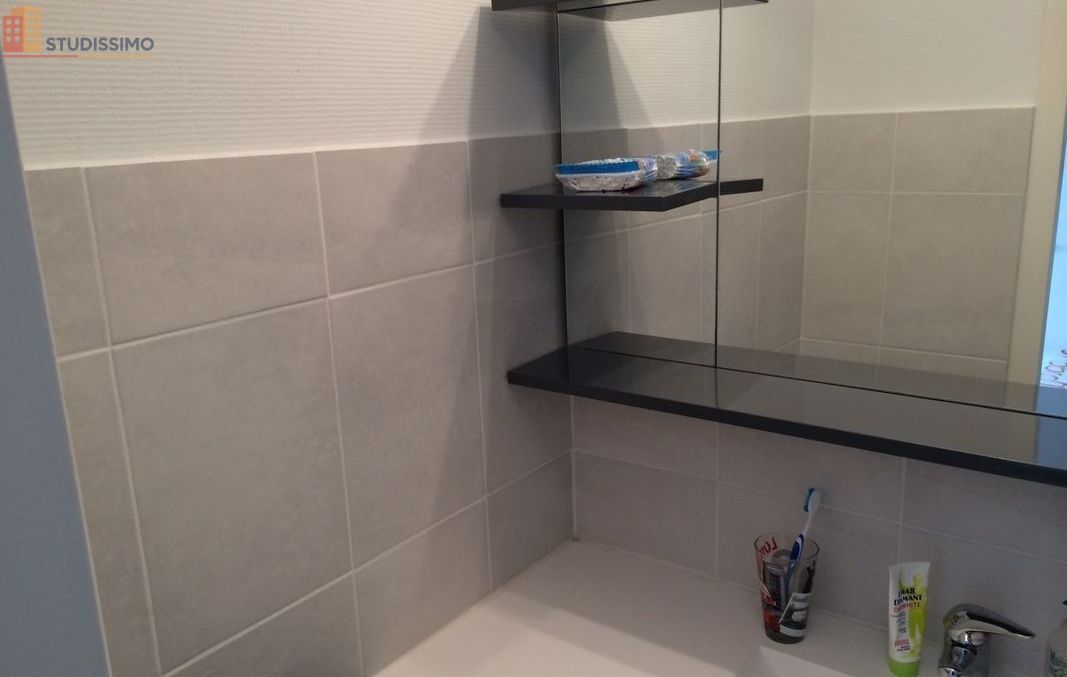 Studio 20m² Villeneuve-d'Ascq Annappes - Photo 3