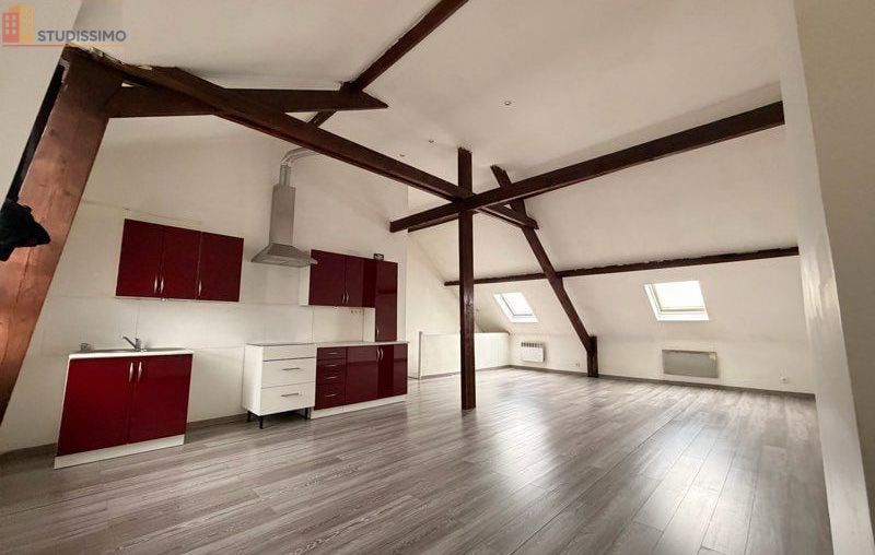 Studio 44m² Wasquehal - Grand et lumineux - Photo 8