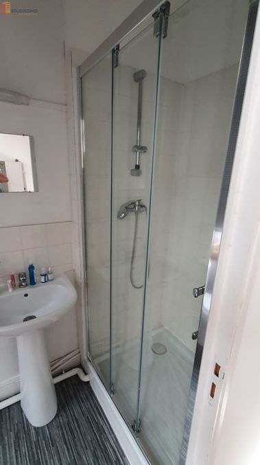 Studio meublé 18m² Lille centre - Meublé, proche St-Michel - Photo 3