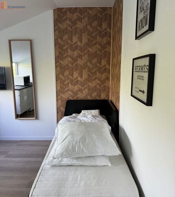 Studio meublé 14m² Templeuve-en-Pévèle - Meublé, charmant - Photo 19