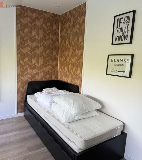 Studio meublé 14m² Templeuve-en-Pévèle - Meublé, charmant - Photo 18