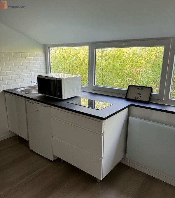 Studio meublé 14m² Templeuve-en-Pévèle - Meublé, charmant - Photo 13