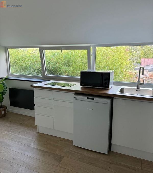 Studio meublé 14m² Templeuve-en-Pévèle - Charmant, calme - Photo 20