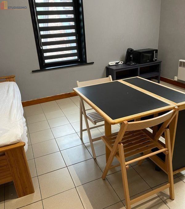 Studio meublé 25m² Aulnoy-lez-Valenciennes - Ancien corps de ferme - Photo 1