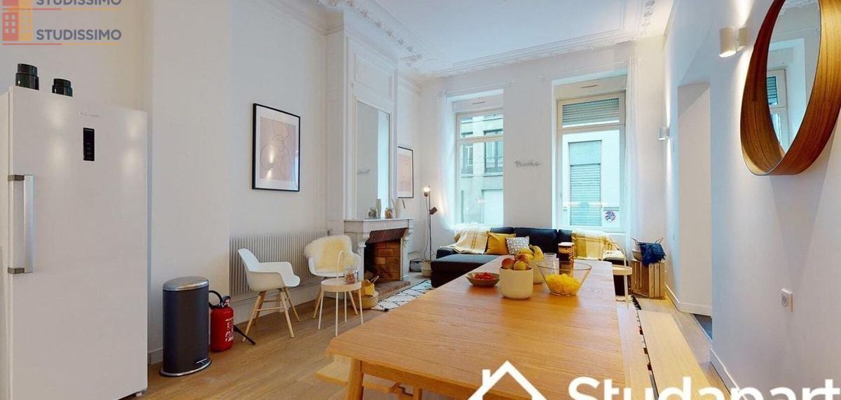 Studio meublé 16m² Lille 59800 - Meublé, lumineux - Photo 12