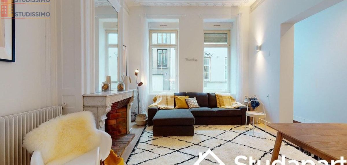 Studio meublé 16m² Lille 59800 - Meublé, lumineux - Photo 7