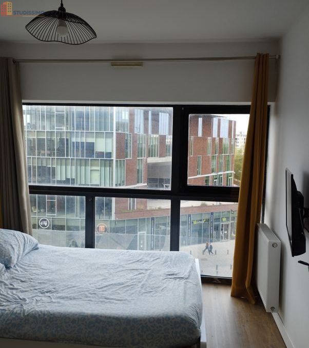 Studio meublé 17m² Lille 59800 - Meublé, étage 2/10 - Photo 3