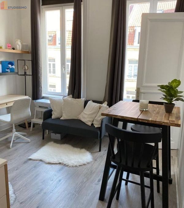 Studio meublé 24m² Lille 59800 - Proche centre - Photo 4