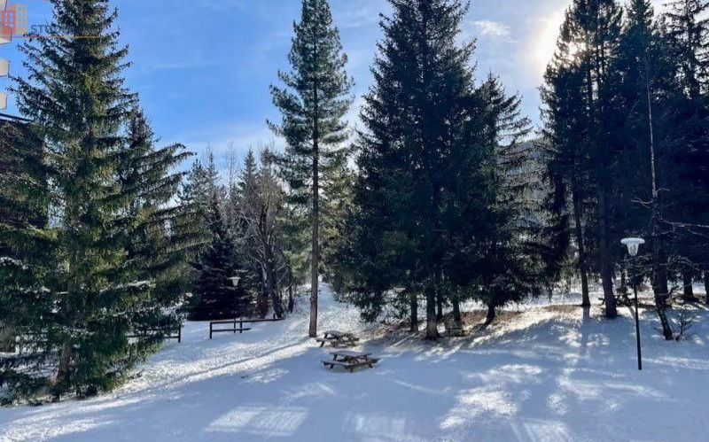 Studio 24m² La Salle-les-Alpes - Rénové, proche pistes - Photo 1