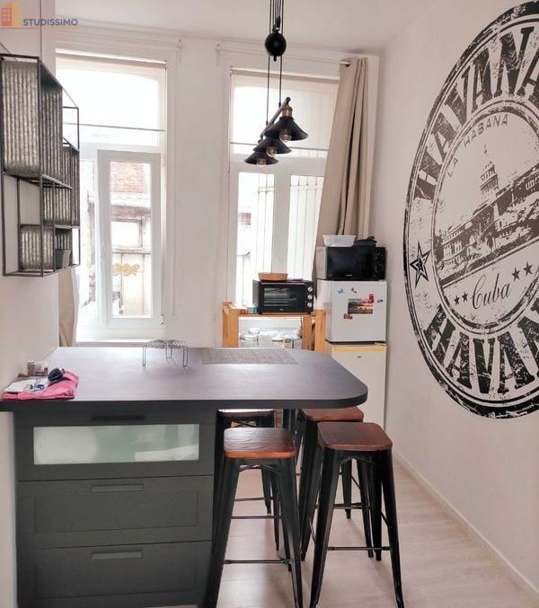 Studio meublé 28m² Lille 59000 - Meublé, lumineux - Photo 8