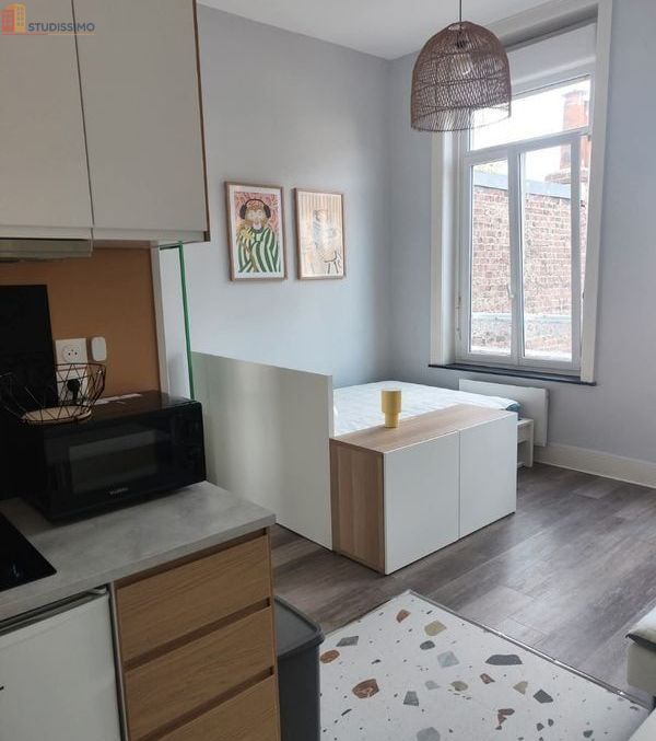Studio meublé 21m² Lille Vauban - Proche cathédrale, lumineux - Photo 4