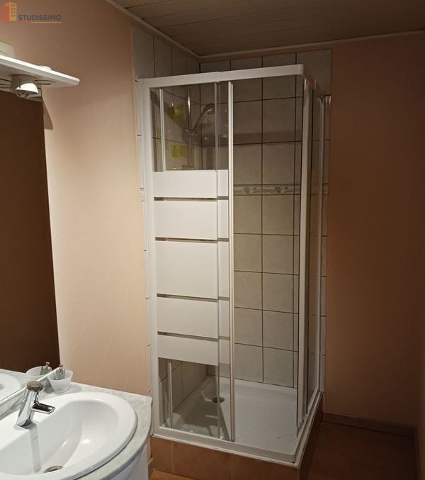 Studio meublé 20m² Lezennes - Meublé, DPE C - Photo 1