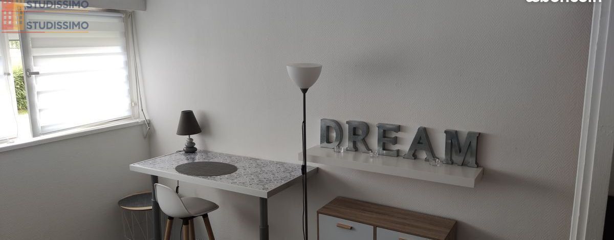 Studio 22m² Croix 59170 - Meublé, lumineux - Photo 8