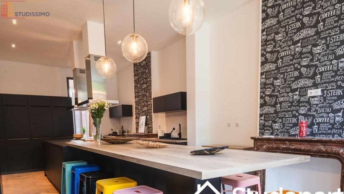 Studio 61m² Roubaix - Meublé, faible consommation énergétique - Photo 3